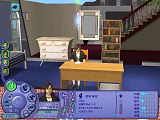 [The Sims 2 University 1]